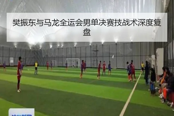 樊振东与马龙全运会男单决赛技战术深度复盘